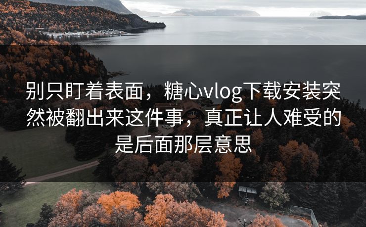 别只盯着表面，糖心vlog下载安装突然被翻出来这件事，真正让人难受的是后面那层意思