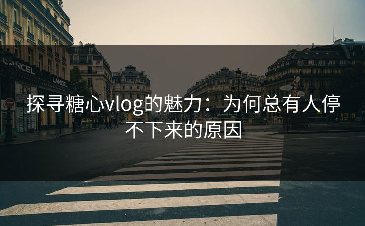 探寻糖心vlog的魅力：为何总有人停不下来的原因