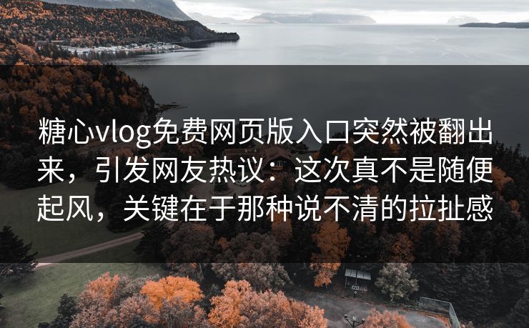 糖心vlog免费网页版入口突然被翻出来，引发网友热议：这次真不是随便起风，关键在于那种说不清的拉扯感
