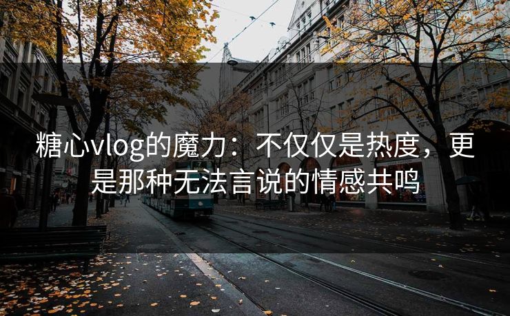 糖心vlog的魔力：不仅仅是热度，更是那种无法言说的情感共鸣