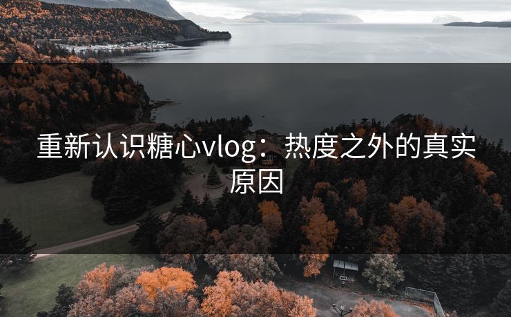 重新认识糖心vlog：热度之外的真实原因