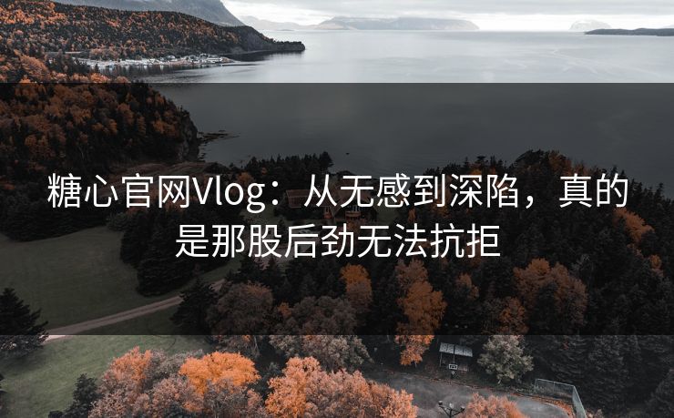 糖心官网Vlog：从无感到深陷，真的是那股后劲无法抗拒