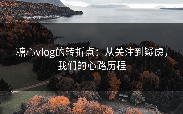 糖心vlog的转折点：从关注到疑虑，我们的心路历程
