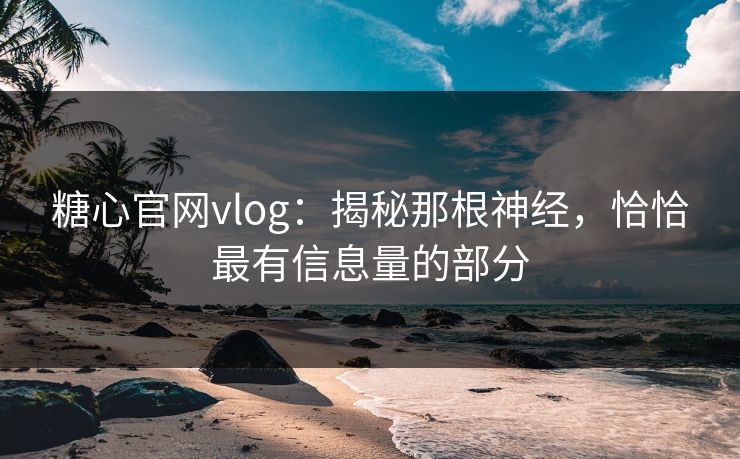 糖心官网vlog：揭秘那根神经，恰恰最有信息量的部分