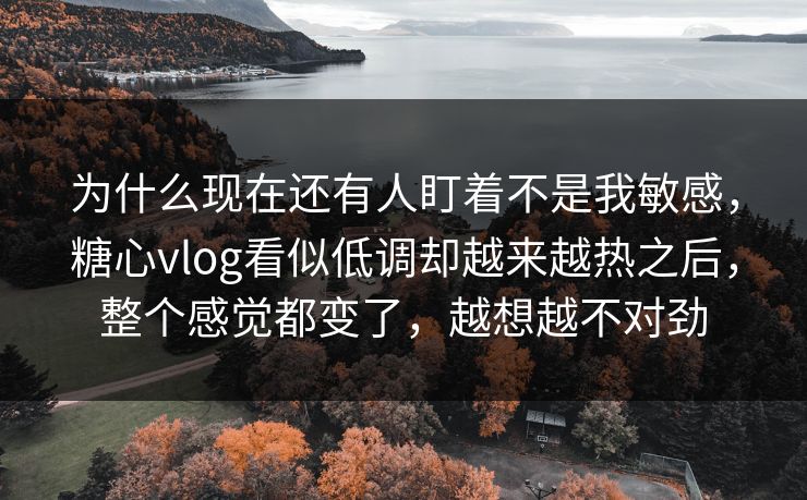 为什么现在还有人盯着不是我敏感，糖心vlog看似低调却越来越热之后，整个感觉都变了，越想越不对劲