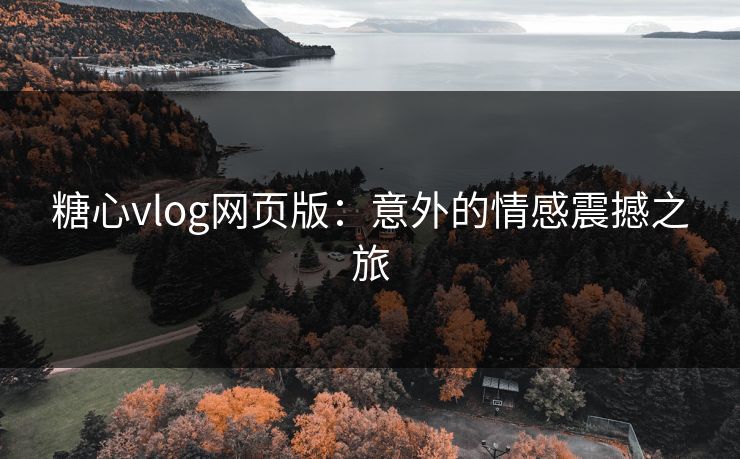 糖心vlog网页版：意外的情感震撼之旅