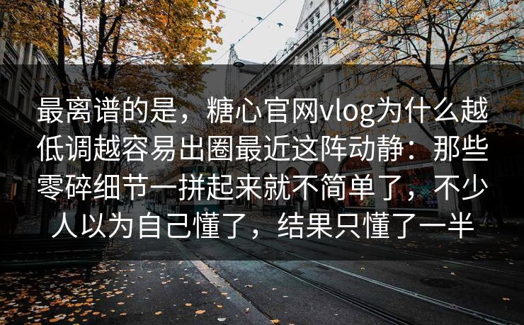 最离谱的是，糖心官网vlog为什么越低调越容易出圈最近这阵动静：那些零碎细节一拼起来就不简单了，不少人以为自己懂了，结果只懂了一半