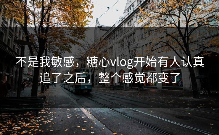 不是我敏感，糖心vlog开始有人认真追了之后，整个感觉都变了