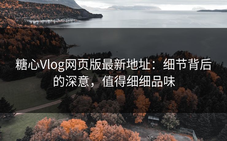 糖心Vlog网页版最新地址：细节背后的深意，值得细细品味